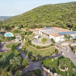 La Quercia Della Gallura , Luogosanto Italie